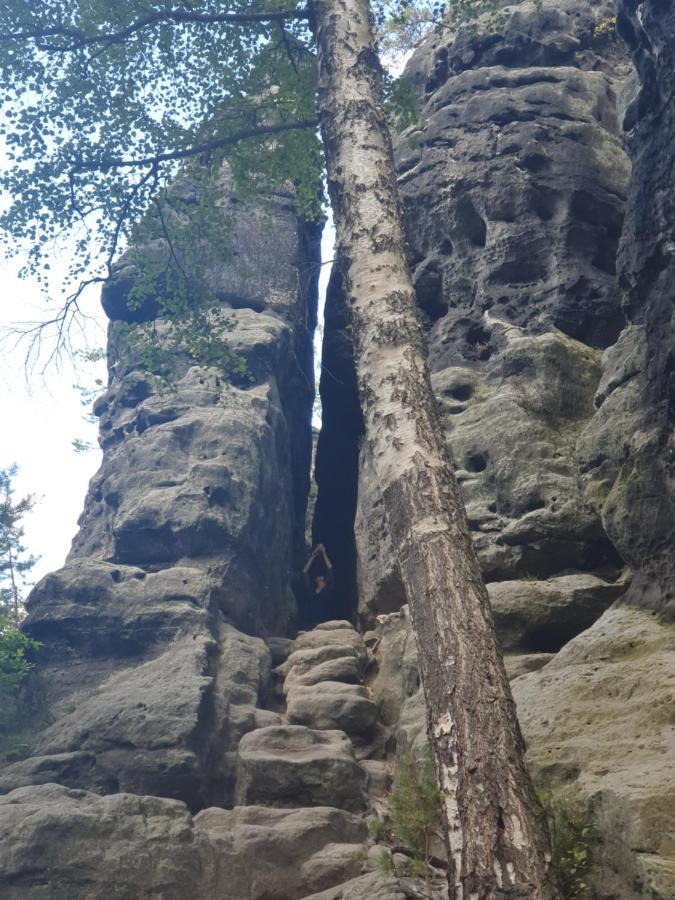 Fewo-Hierundjetzt Lichtenhain Bei Sebnitz Am Malerweg Bagian luar foto